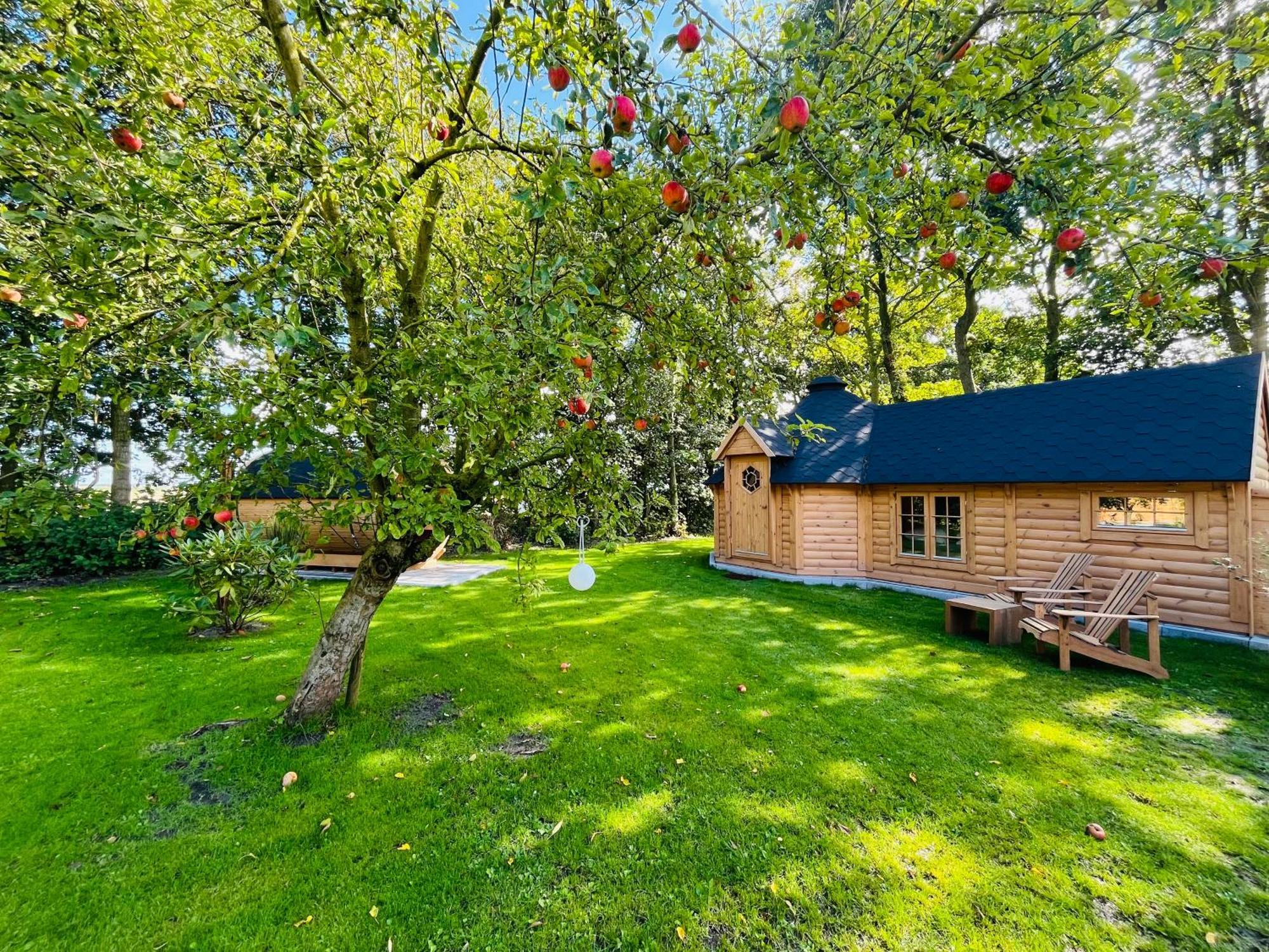 Bed & Breakfast Voor De Wind Slootdorp Екстериор снимка